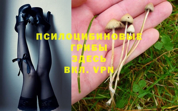 хмурый Абаза