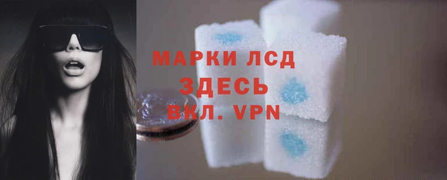 хмурый Абаза
