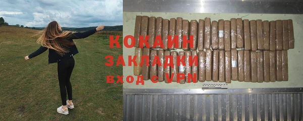 прущие грибы Медногорск