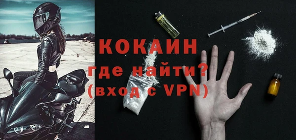 хмурый Абаза